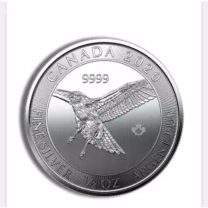 1/2 oz Canadian Red Tail Hawk Silver Coin (Year Varies) 