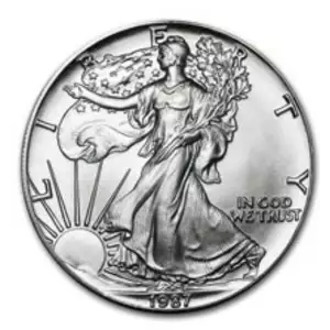 1987 1 oz American Silver Eagle Coin (2)
