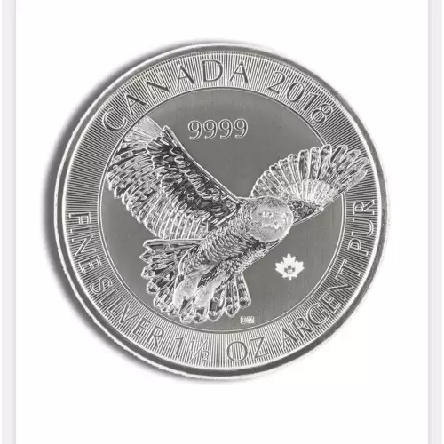2018 Canadian 1.5oz Snowy Owl