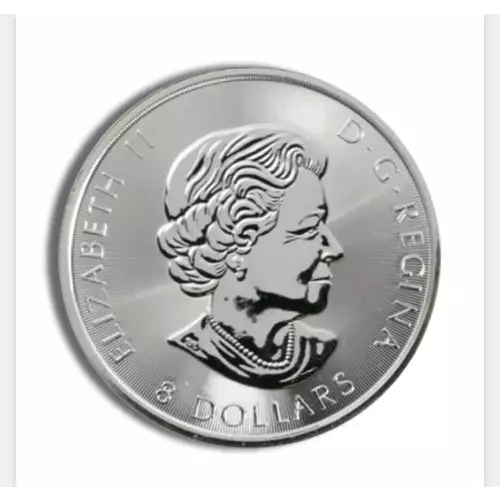 2018 Canadian 1.5oz Snowy Owl (2)