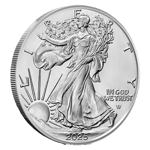 2025 1 oz American Silver Eagle Coin (2)